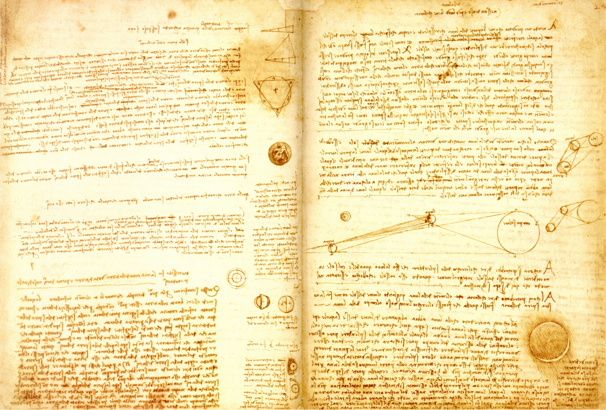 da Vinci's notebook